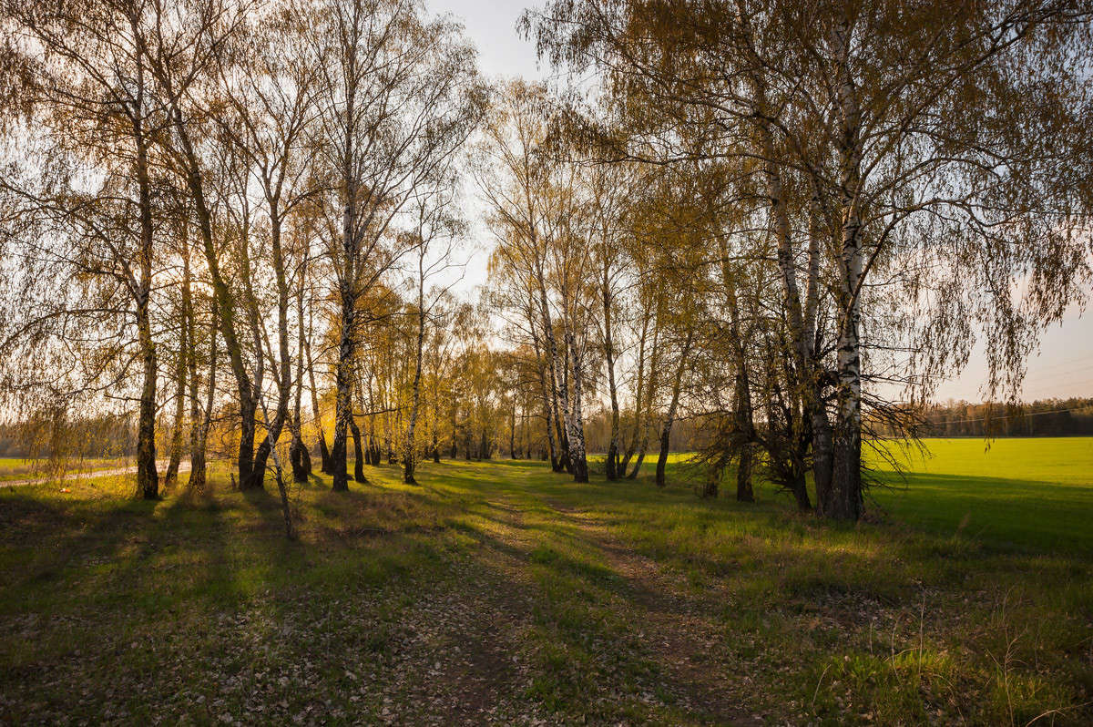 ... ����� ������� ���������� �� PhotoGeek.ru #������ ��� �������