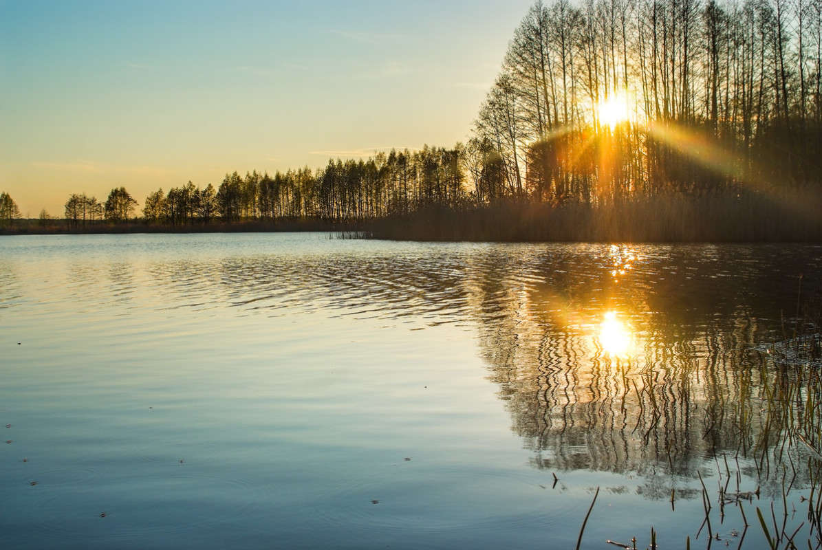 ... ����� ������� ���������� �� PhotoGeek.ru #������ ��� �������