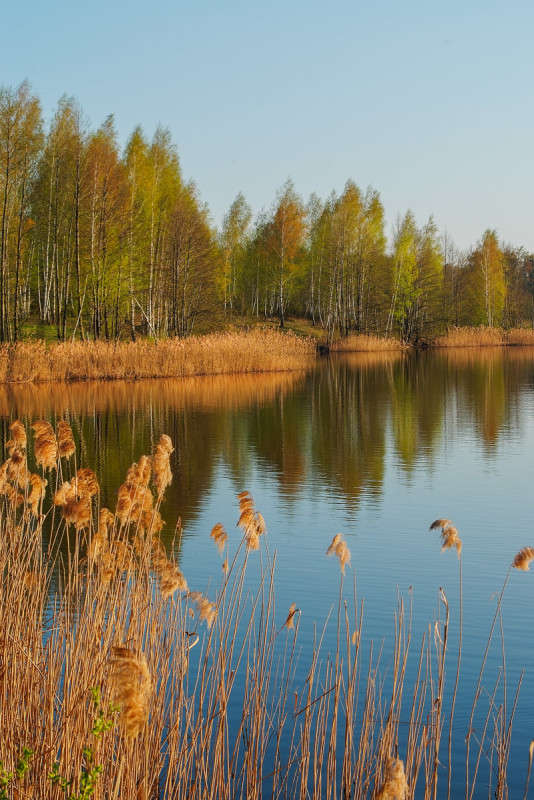 .... ����� ������� ���������� �� PhotoGeek.ru #������ ��� �������