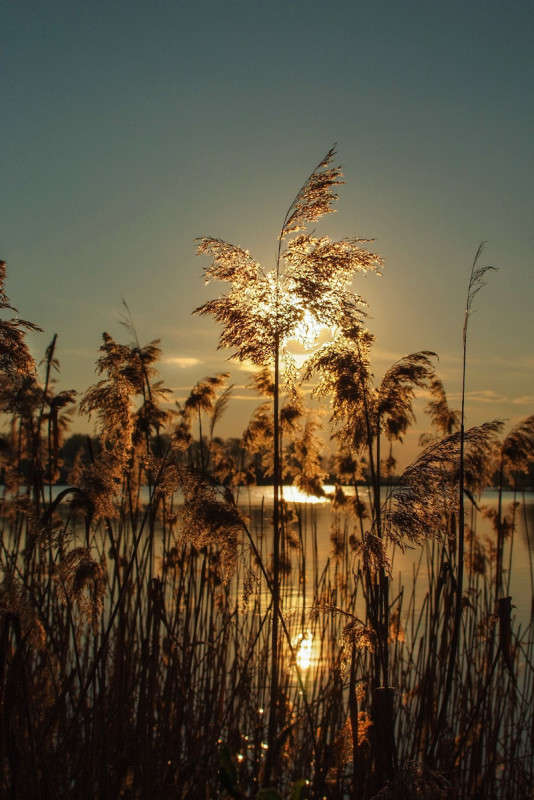 ... ����� ������� ���������� �� PhotoGeek.ru #������ ��� �������