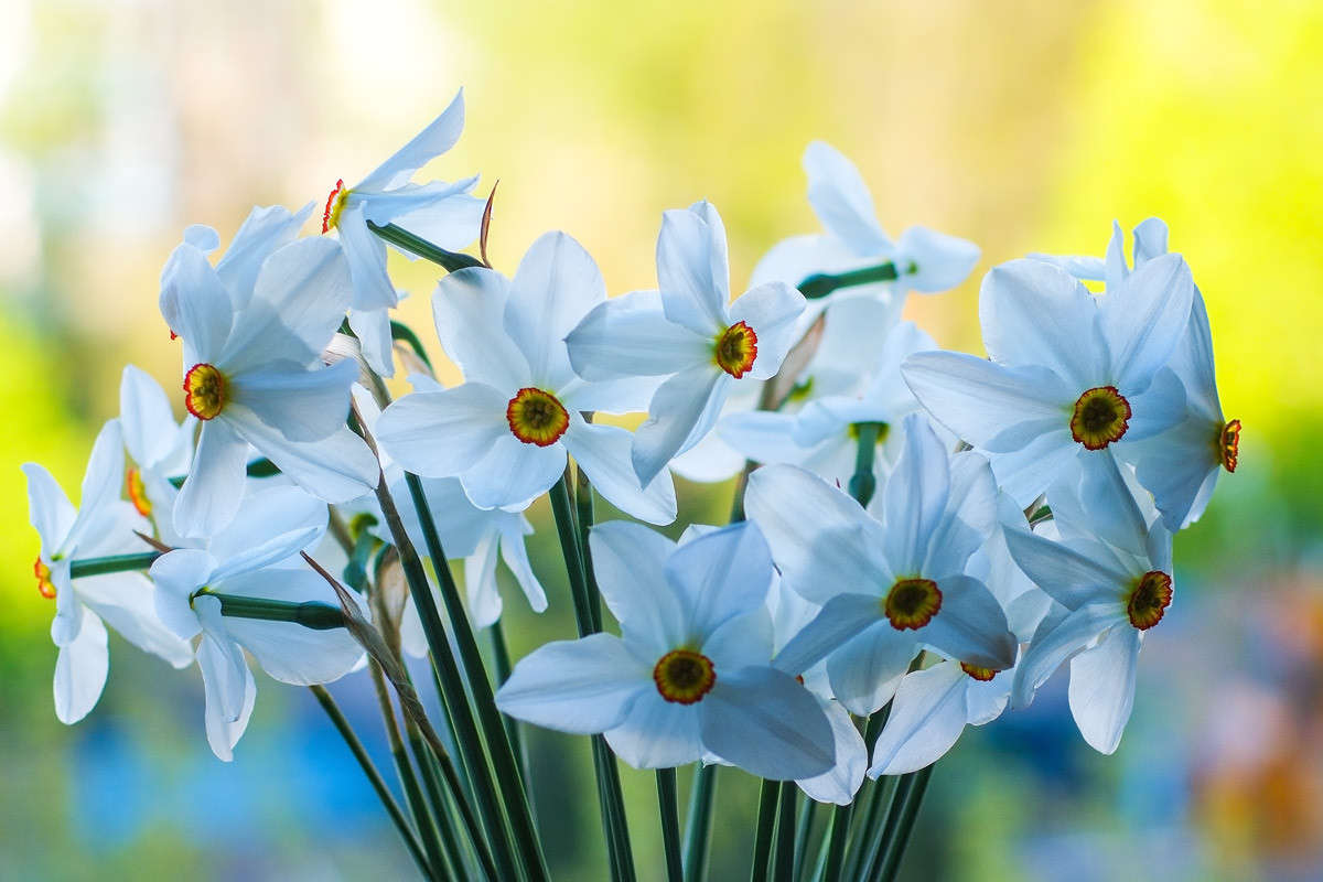 ... ����� ������� ���������� �� PhotoGeek.ru #������ ��� �������