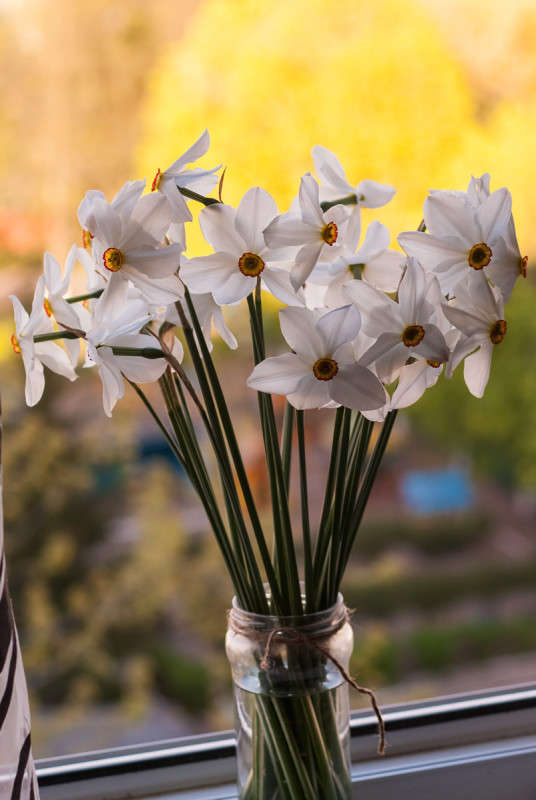 .... ����� ������� ���������� �� PhotoGeek.ru #�������� ���