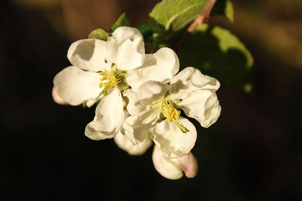 ... ����� ������� ���������� �� PhotoGeek.ru #������ ��� �������