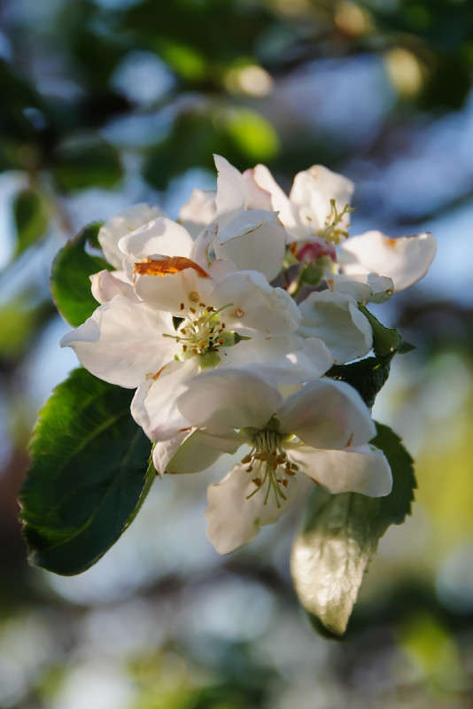 ... ����� ������� ���������� �� PhotoGeek.ru #������ ��� �������