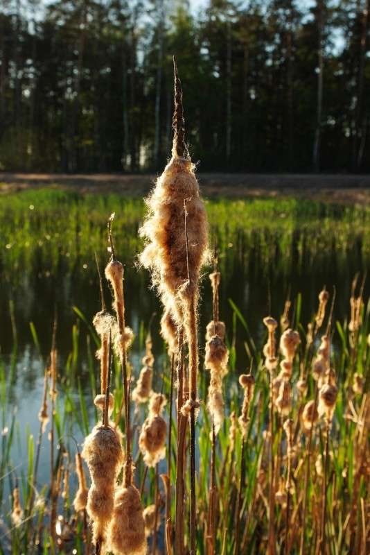 ... ����� ������� ���������� �� PhotoGeek.ru #������ ��� �������