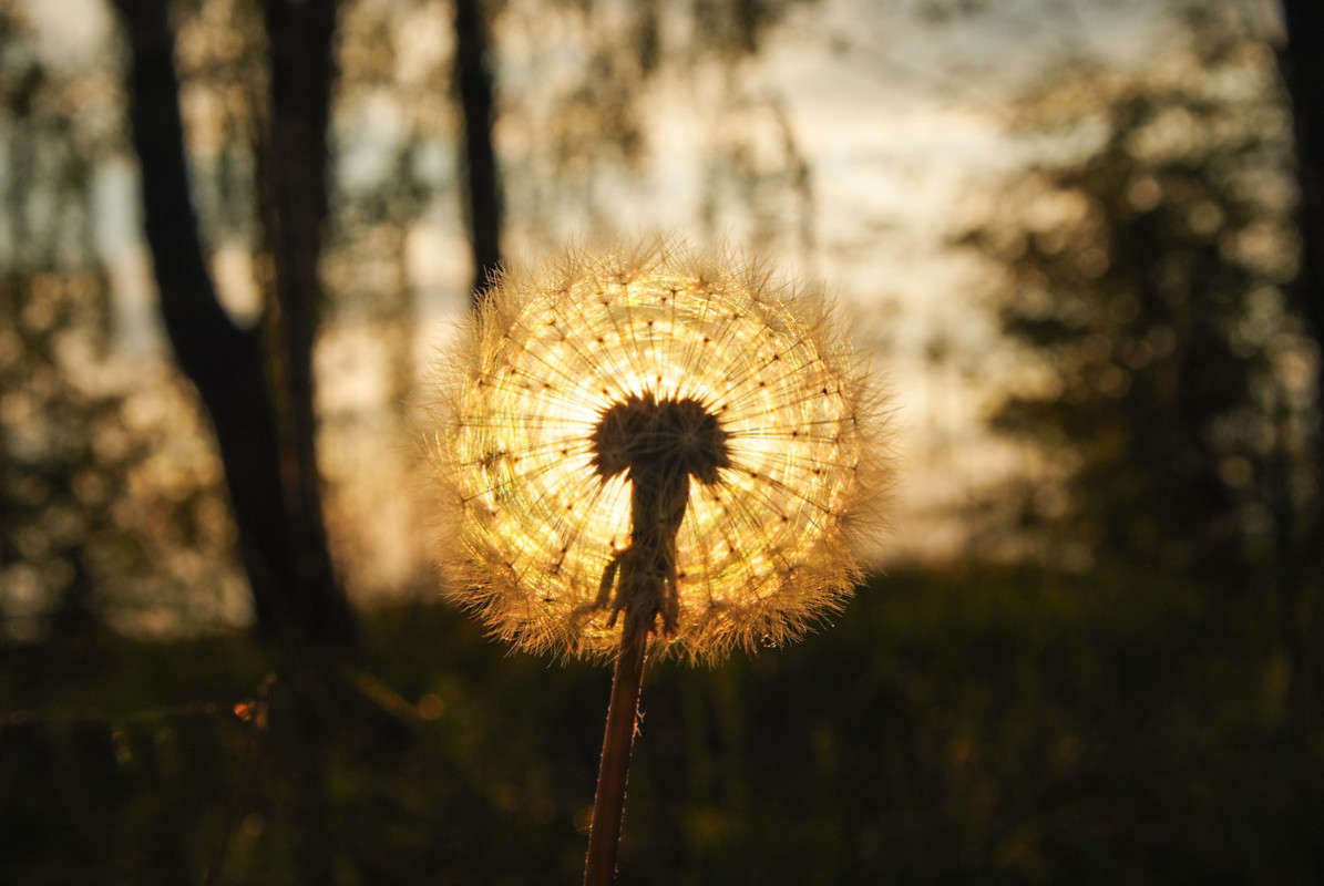 ... ����� ������� ���������� �� PhotoGeek.ru #������ ��� �������
