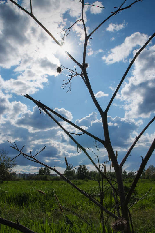 ... ����� ������� ���������� �� PhotoGeek.ru #������ ��� �������