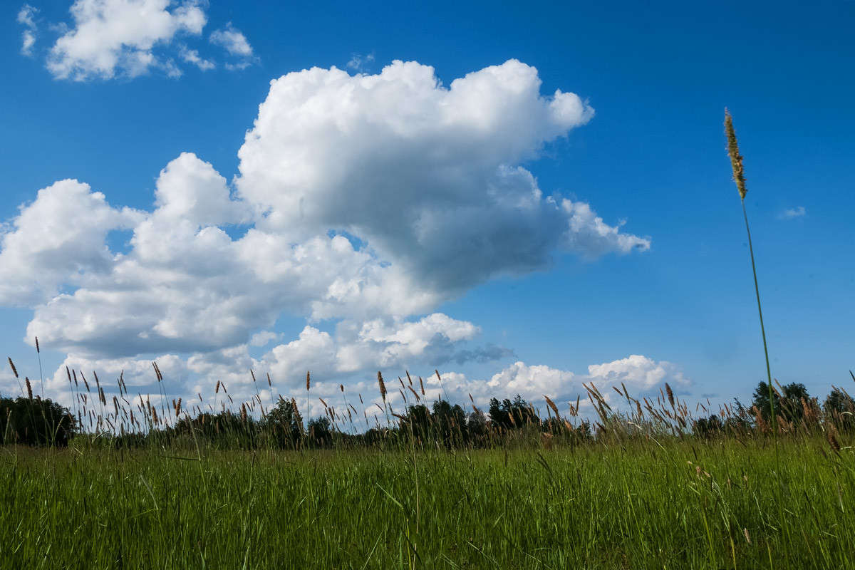 ������� ������� ����� ������� ���������� �� PhotoGeek.ru #������ ��� �������