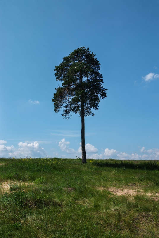 ... ����� ������� ���������� �� PhotoGeek.ru #������ ��� �������