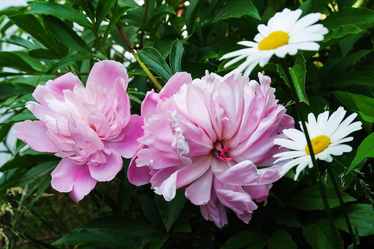 ... ����� ������� ���������� �� PhotoGeek.ru #������ ��� �������