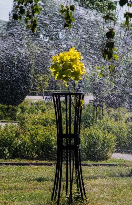 ... ����� ������� ���������� �� PhotoGeek.ru #�����