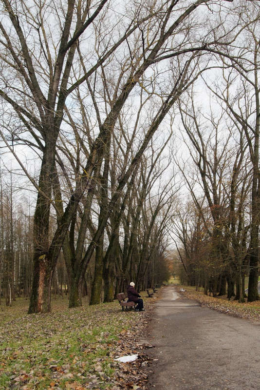 .... ����� ������� ���������� �� PhotoGeek.ru #������ ��� �������