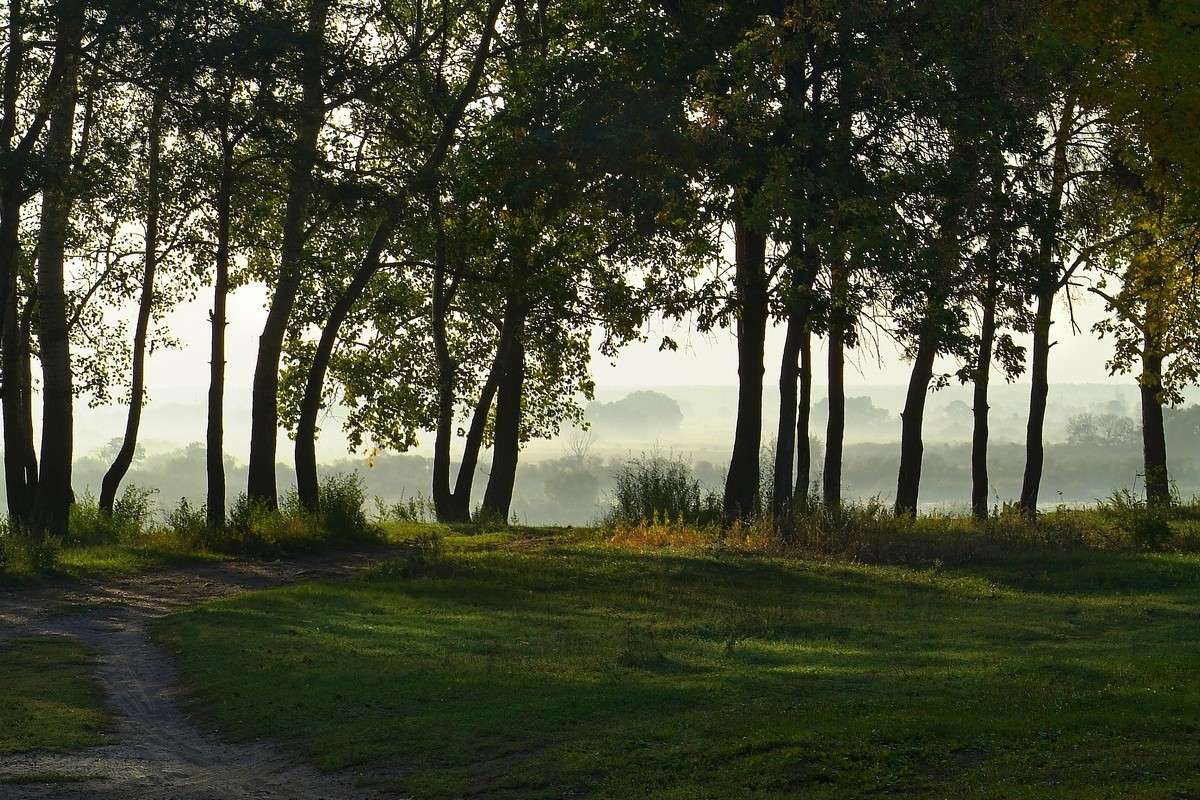 ... ����� ������� ���������� �� PhotoGeek.ru #������ ��� �������