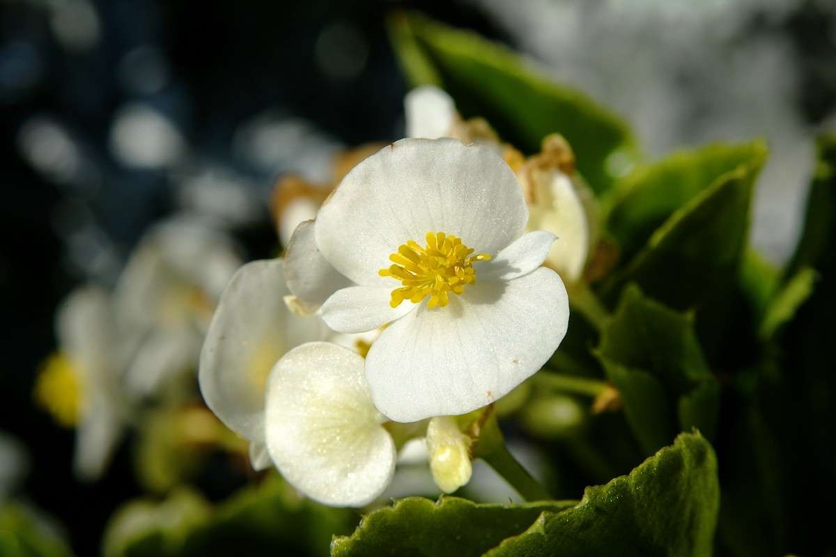 ... ����� ������� ���������� �� PhotoGeek.ru #������ ��� �������