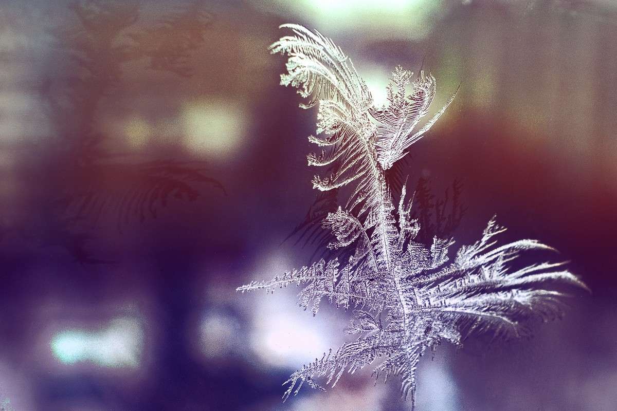 ... ����� ������� ���������� �� PhotoGeek.ru #�����