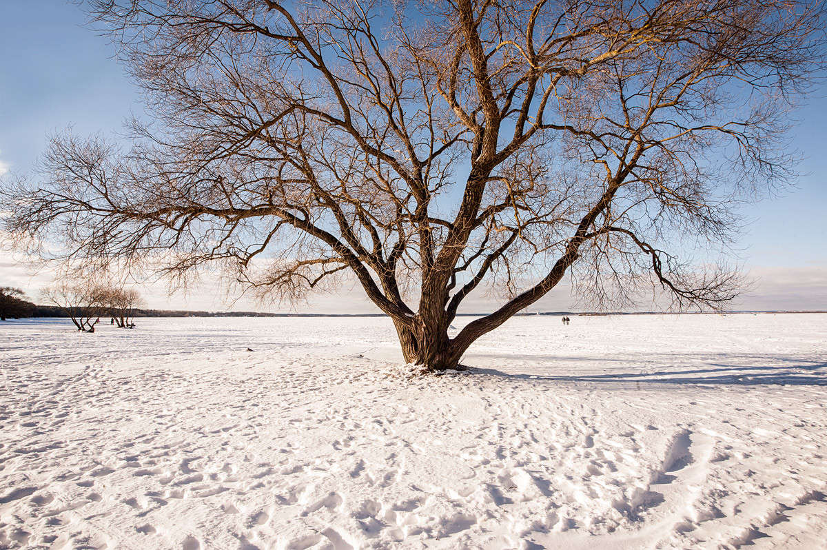 ... ����� ������� ���������� �� PhotoGeek.ru #������ ��� �������