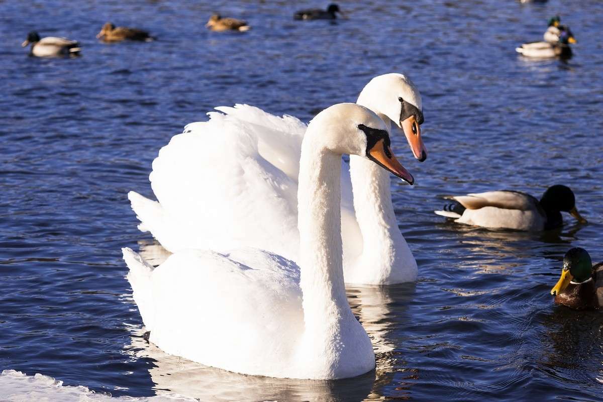 ... ����� ������� ���������� �� PhotoGeek.ru #�������� ���