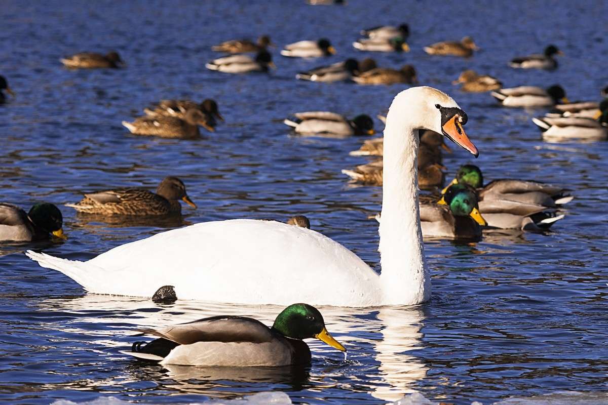 ... ����� ������� ���������� �� PhotoGeek.ru #�������� ���