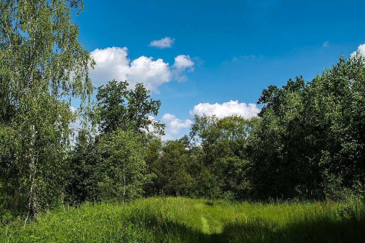 ... ����� ������� ���������� �� PhotoGeek.ru #������ ��� �������