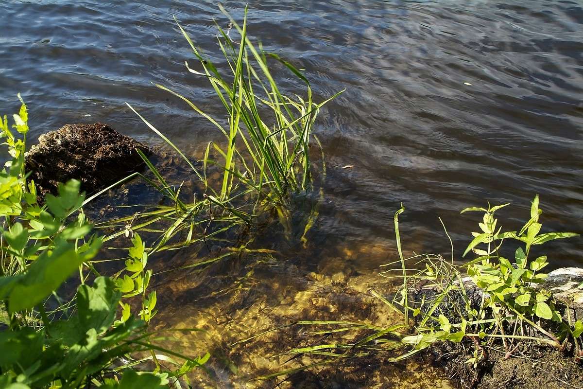 ... ����� ������� ���������� �� PhotoGeek.ru #������ ��� �������