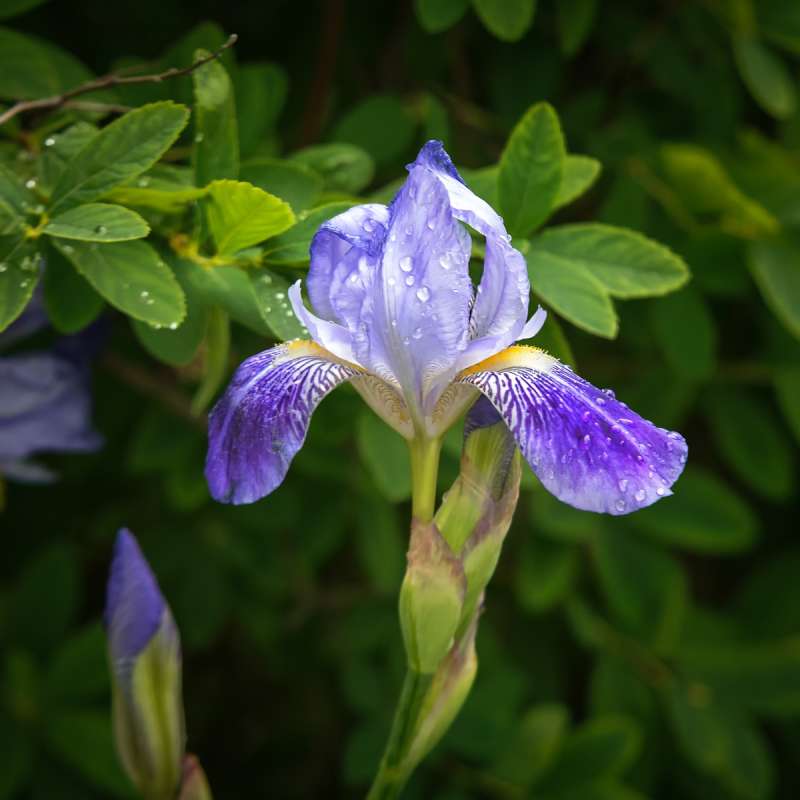 ... ����� ������� ���������� �� PhotoGeek.ru #������ ��� �������