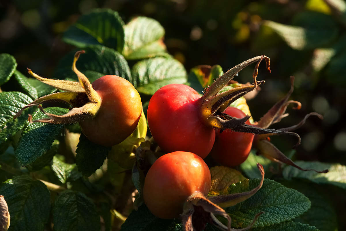 ... ����� ������� ���������� �� PhotoGeek.ru #������ ��� �������