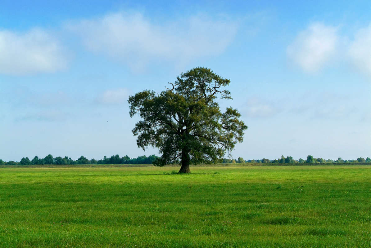 ... ����� ������� ���������� �� PhotoGeek.ru #������ ��� �������