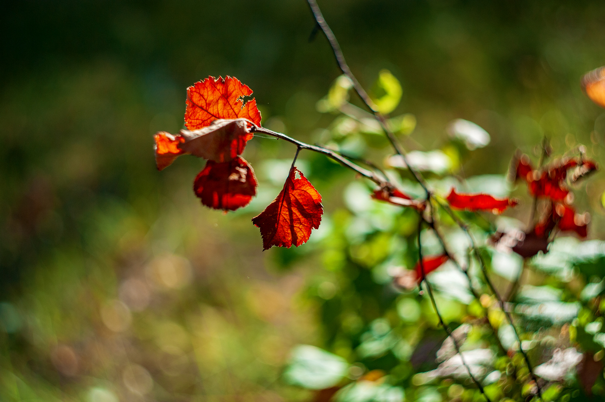 ... ����� ������� ���������� �� PhotoGeek.ru #������ ��� �������