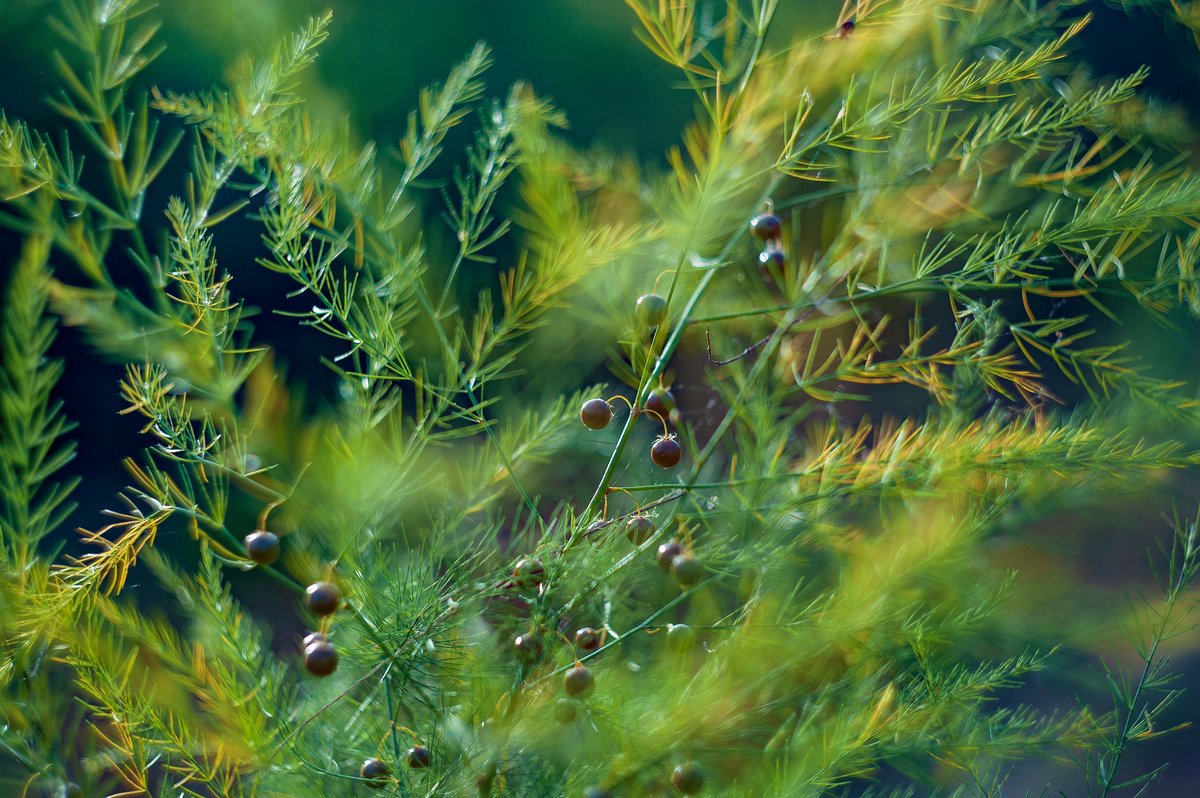 ... ����� ������� ���������� �� PhotoGeek.ru #������ ��� �������