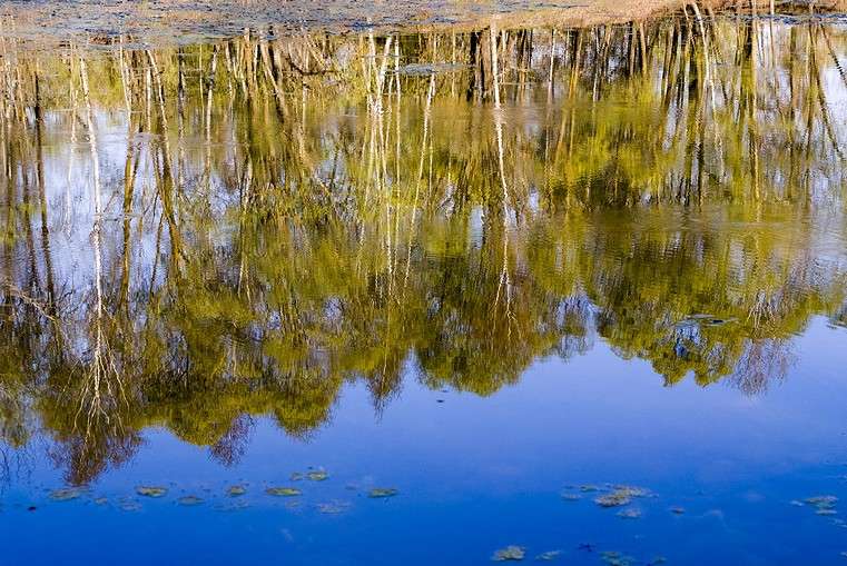 ... ����� ������� ���������� �� PhotoGeek.ru #������ ��� �������