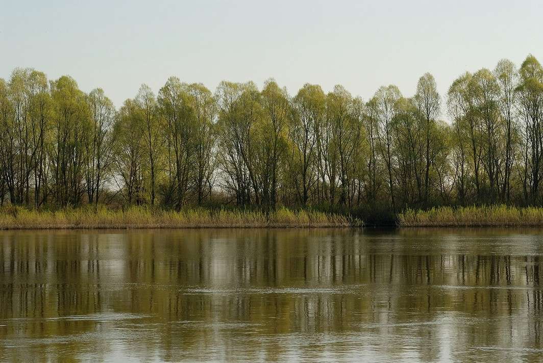 ... ����� ������� ���������� �� PhotoGeek.ru #������ ��� �������