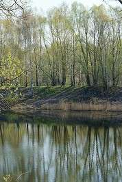 ��������� ����� ������� ���������� �� PhotoGeek.ru #������ ��� �������