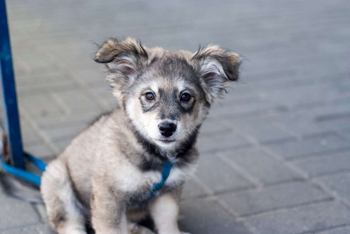 �������� ����� ������� ���������� �� PhotoGeek.ru #�������� ���