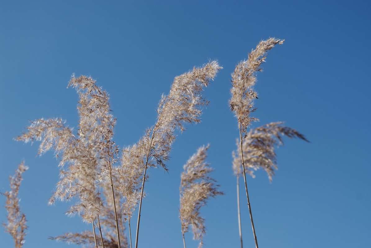 ������� ����� ������� ���������� �� PhotoGeek.ru #������ ��� �������