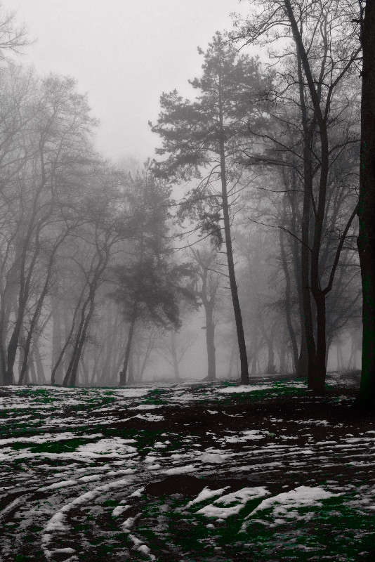 ����� ����� ������� ���������� �� PhotoGeek.ru #������ ��� �������