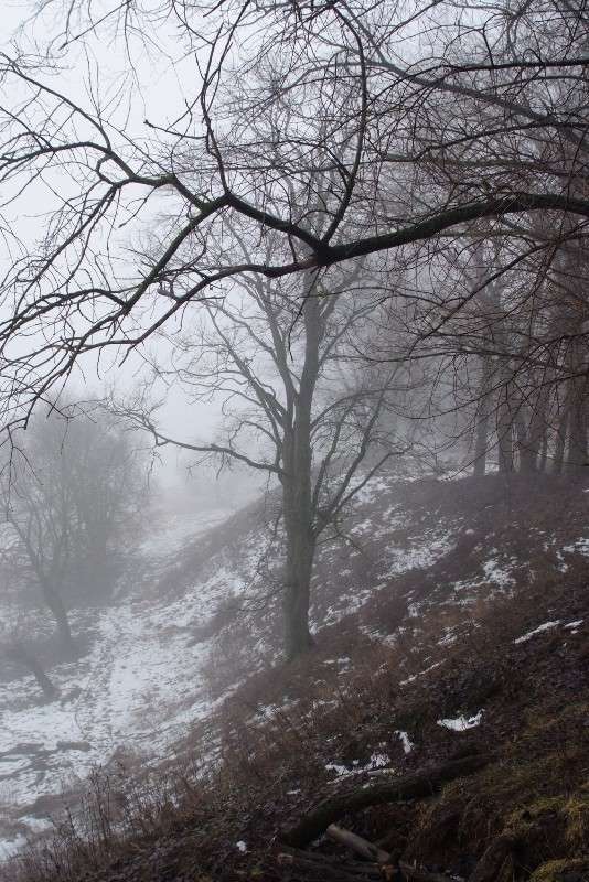 ����� ����� ������� ���������� �� PhotoGeek.ru #������ ��� �������