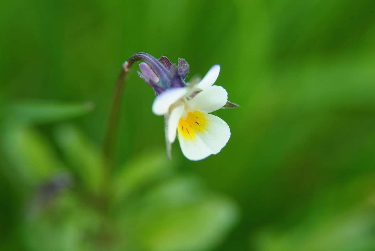 ��� �������� ����� ������� ���������� �� PhotoGeek.ru #�����