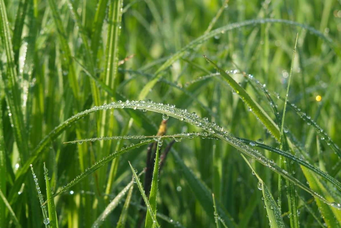 ���� ����� ������� ���������� �� PhotoGeek.ru #������ ��� �������