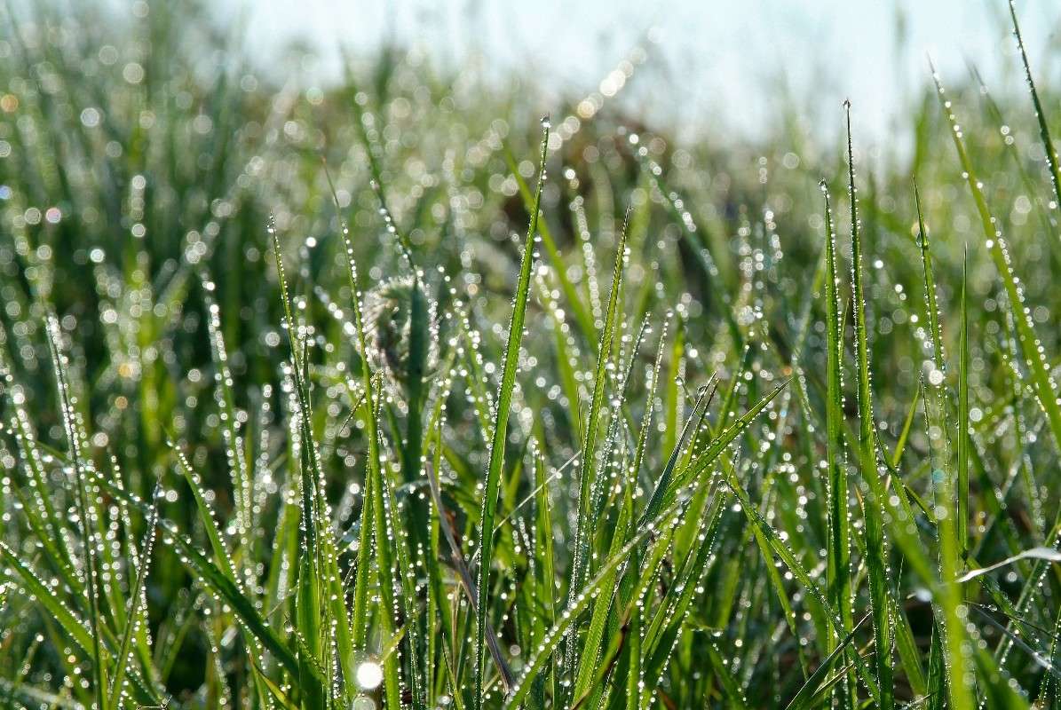 ���� ����� ������� ���������� �� PhotoGeek.ru #������ ��� �������