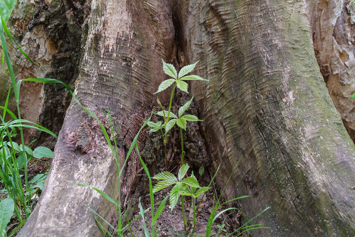 ����� ����� ������� ���������� �� PhotoGeek.ru #������ ��� �������