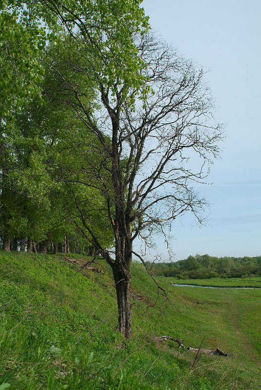 ���� ����� ������� ���������� �� PhotoGeek.ru #������ ��� �������