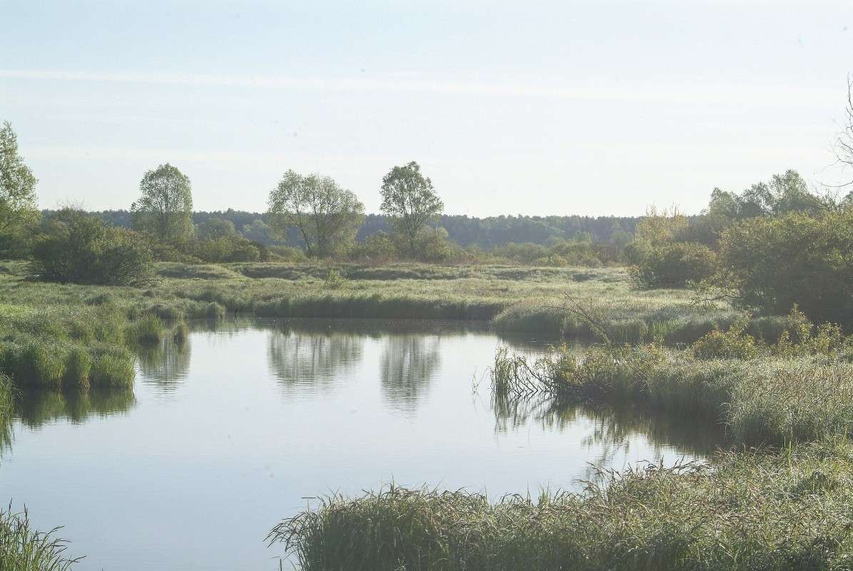 ���� �� ����� ����� ������� ���������� �� PhotoGeek.ru #������ ��� �������