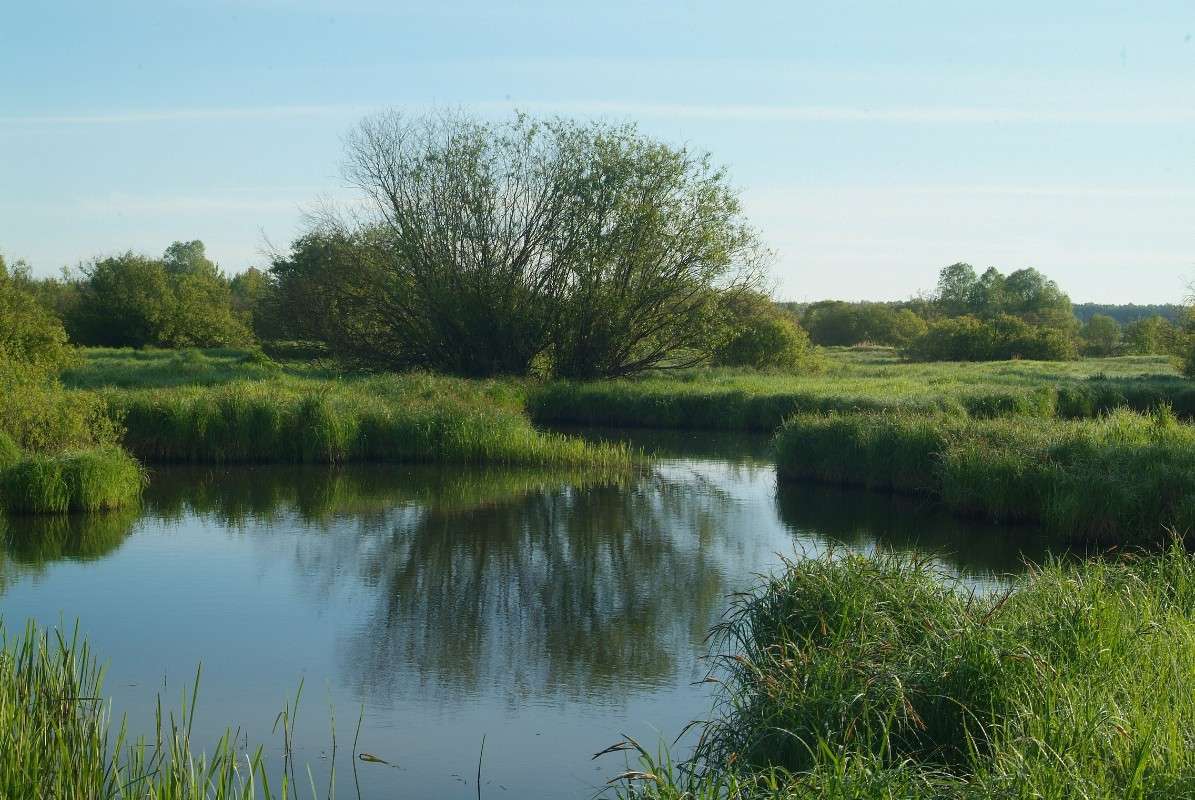 �� ����� ����� ������� ���������� �� PhotoGeek.ru #������ ��� �������