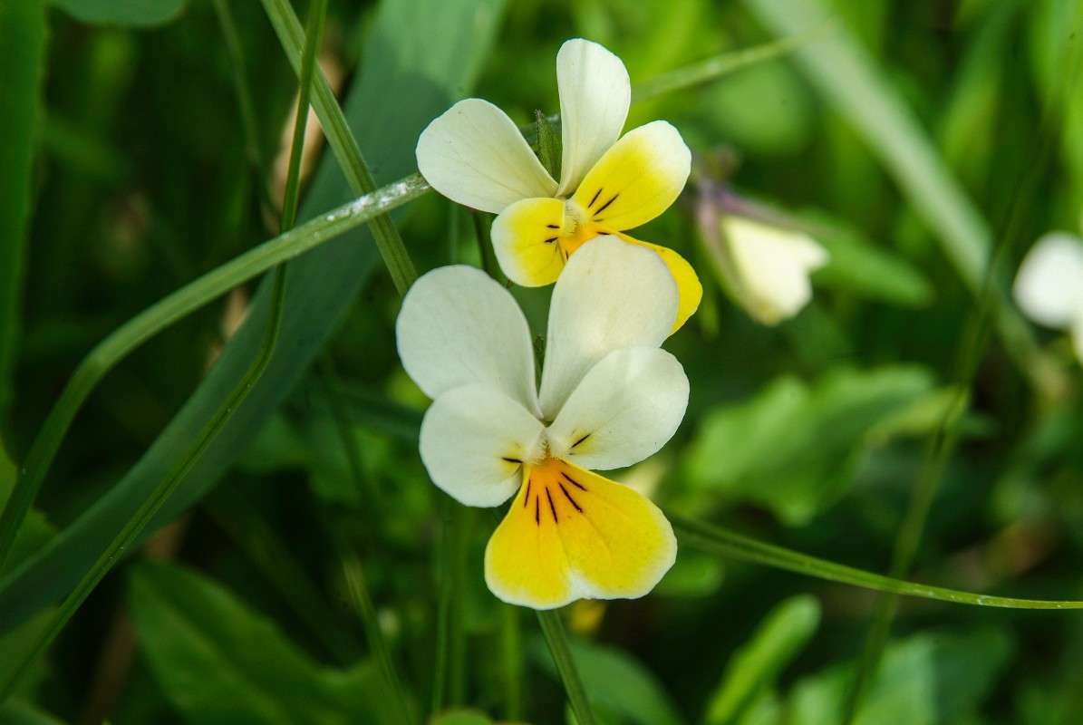 ��� �������� ����� ������� ���������� �� PhotoGeek.ru #������ ��� �������