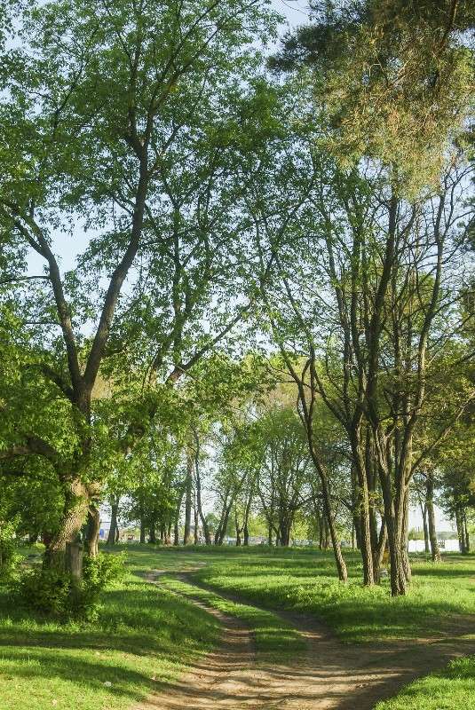 ������� ����� ������� ���������� �� PhotoGeek.ru #������ ��� �������