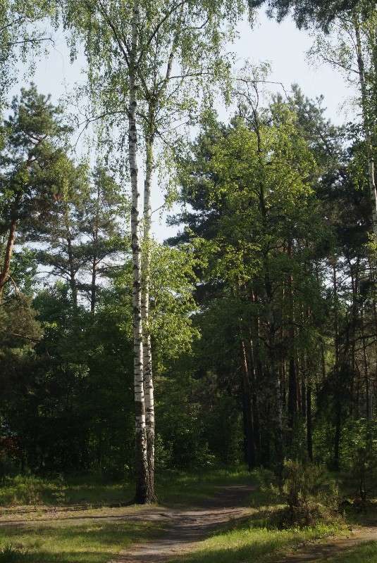 ���� � ���� ����� ������� ���������� �� PhotoGeek.ru #������ ��� �������