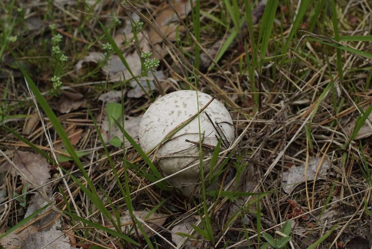 �������� ����� ������� ���������� �� PhotoGeek.ru #������ ��� �������