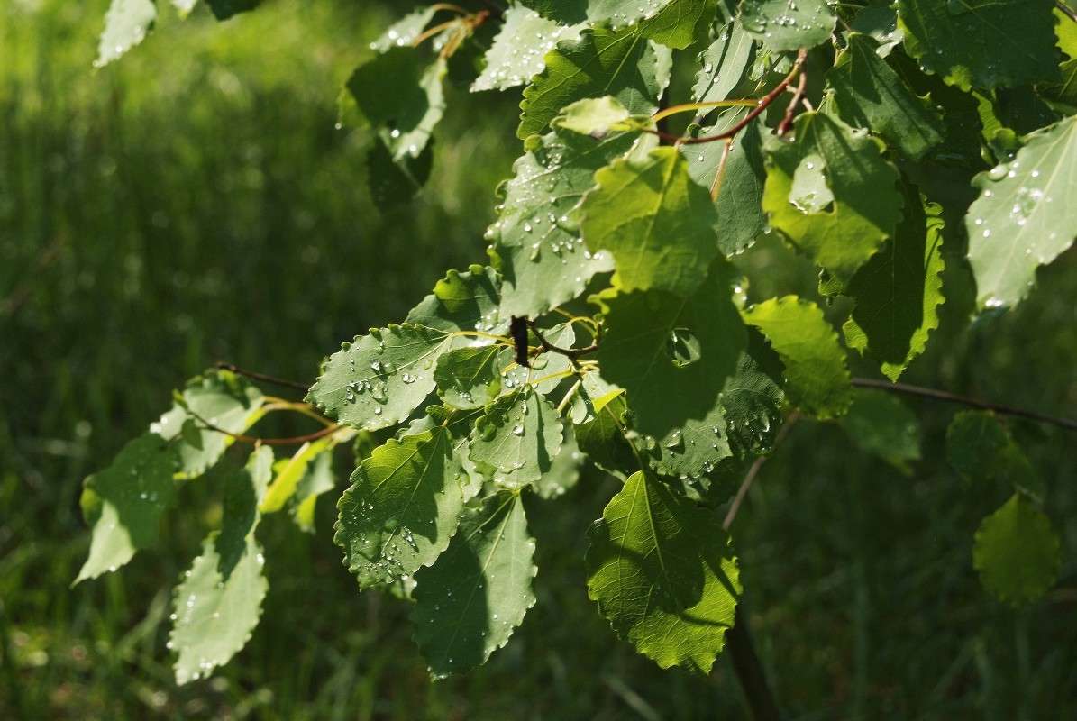 ����� ����� ����� ������� ���������� �� PhotoGeek.ru #������ ��� �������