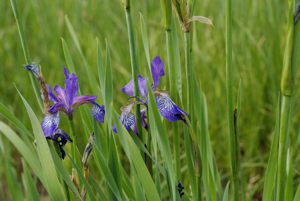 ������� ����� ����� ������� ���������� �� PhotoGeek.ru #������ ��� �������