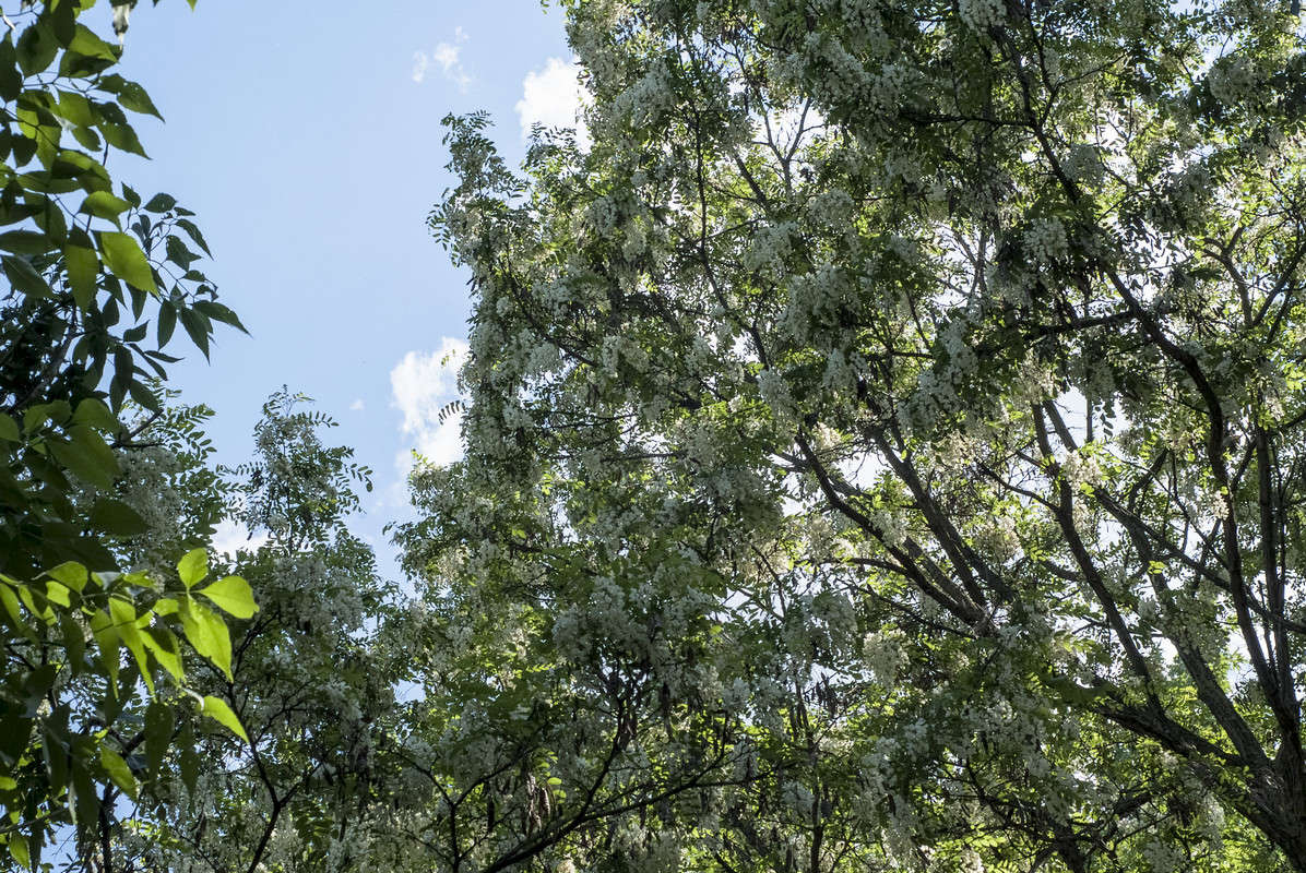 �����... ����� ������� ���������� �� PhotoGeek.ru #������ ��� �������